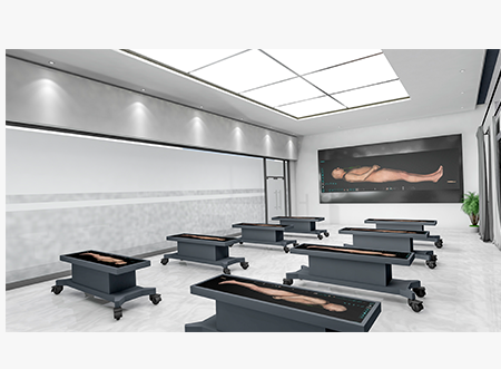 解剖影像示教方案