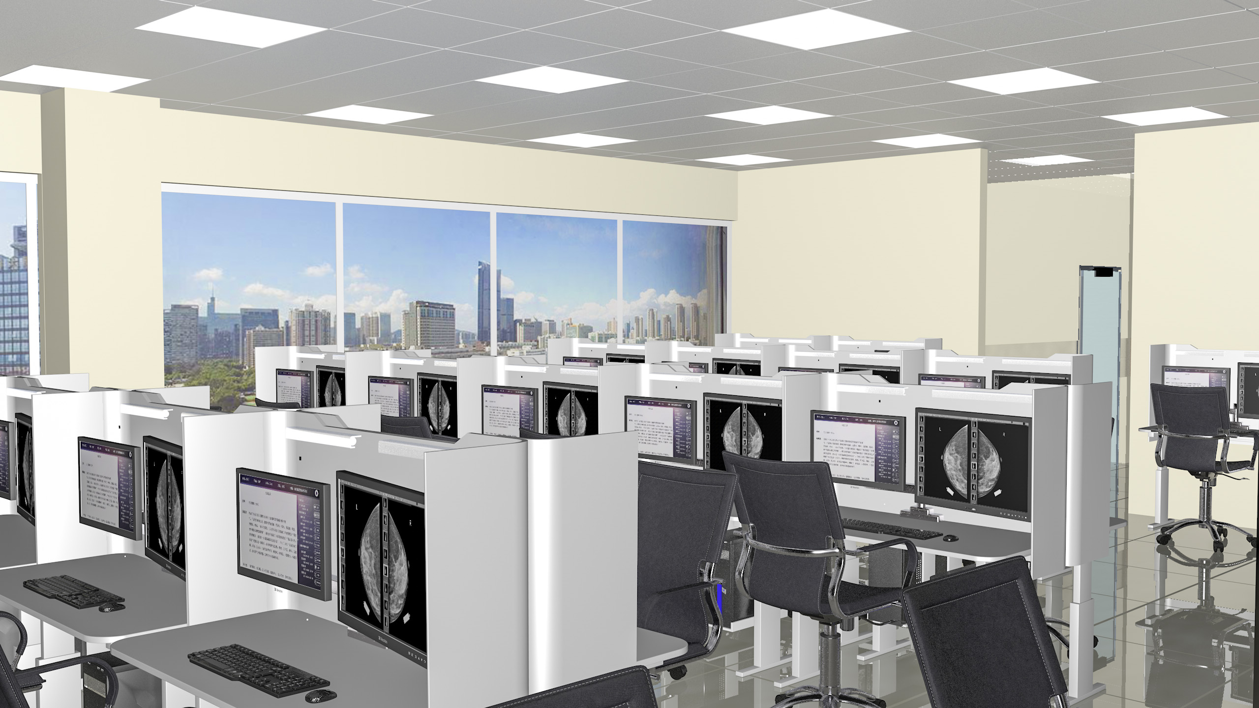 医用诊断显示器