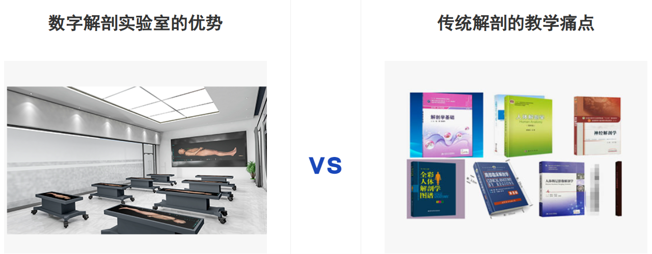 解剖影像示教方案