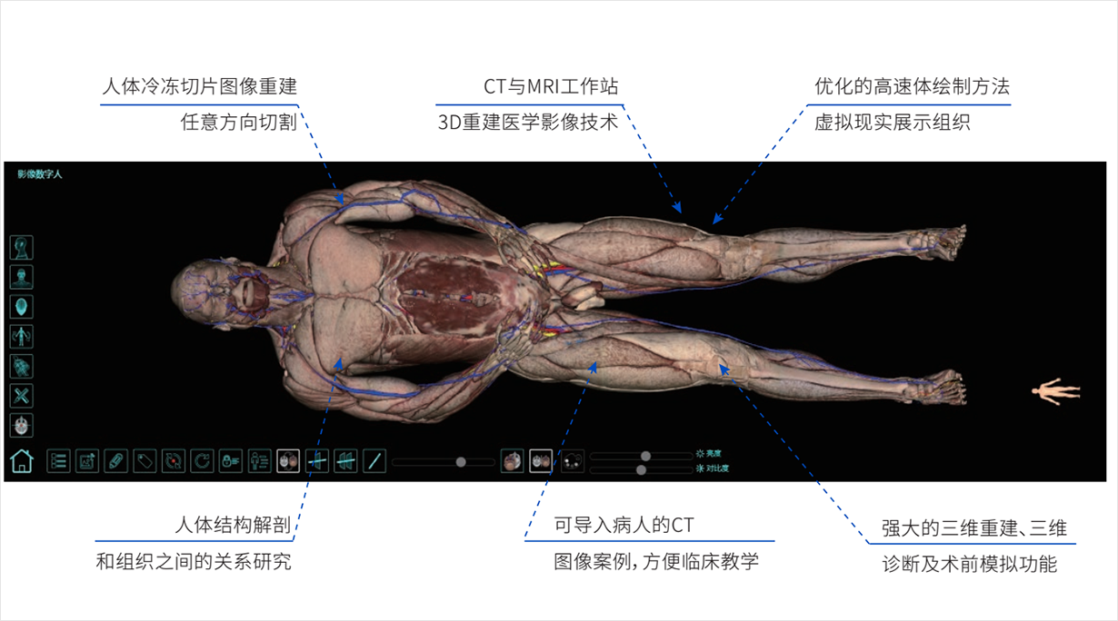影像解剖系统